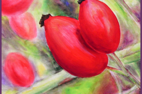 acryl-hagebutten-992CFB39CE-882A-0592-590F-B05A105F12FE.png