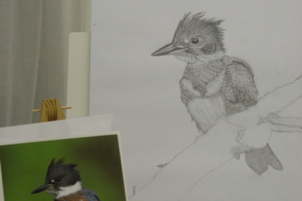 zeichnung-vogel89E45346-6A87-D73B-86EA-4D7E882D7F2F.jpg